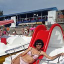 ���� �����, ��������� - ��������� 12 ������� 2014 � ������ ���� ����������