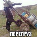 ���� ��������, ��������� - ��������� 8 ������ 2014 � ������ ������ ��������