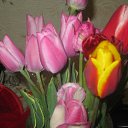 ���� �����, ���������, 53 ���� - ��������� 27 �������� 2014 � ������ ���� ����������