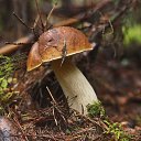 ���� �����, �����-��������� - ��������� 28 ������� 2014 � ������ �������� ����� 2014�