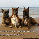 ���� ����, ���������, 67 ��� - ��������� 19 ������� 2014 � ������ ������ ��������