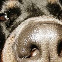 ���� ����, ��������� - ��������� 27 �������� 2014 � ������ �:)�