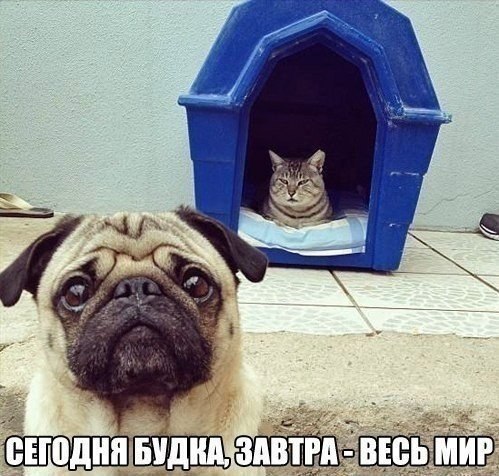 �������������� �� ���: <a href=