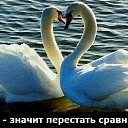 ���� �����, ���������� - ��������� 10 ������� 2014 � ������ ���� ����������