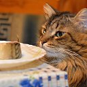 ���� ����������, ������� ��������, 63 ���� - ��������� 30 ������ 2014 � ������ ������ � �����