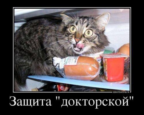 �������������� �� ���: <a href=