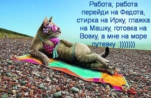 ������� ����,���� - 30 ������� 2014 � 19:04