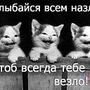 ���� ������, ���������, 38 ��� - ��������� 13 ������� 2014 � ������ ������ ��������