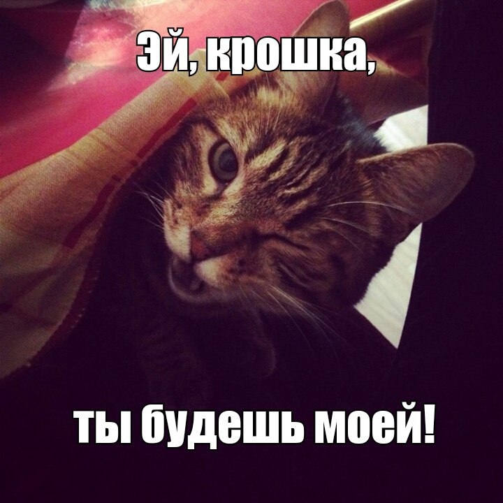 Ты не моя крошка где то на диване