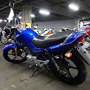 ���� ����, �����-���������, 34 ���� - ��������� 1 ������� 2014 � ������ ������ ��������