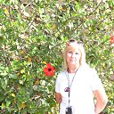 ���� ����� (���������) �� ������� ���� ����������