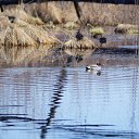 ���� �����, ������� - ��������� 7 �������� 2014 � ������ ���� ����������