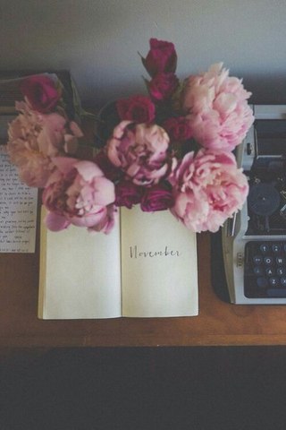 Иногда все, чего хочется, - это остаться дома.и ни о чем не думать.- Ричард Йейтс