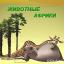 ���� ������, ������, 46 ��� - ��������� 20 ������� 2014