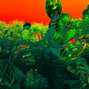 ���� �������, ������, 50 ��� - ��������� 19 ������� 2014