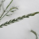  ,  -  21  2014    2014