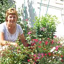 ���� �������, ������, 72 ���� - ��������� 11 ������ 2014 � ������ ���� ����������