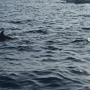  Fausto Migliorati, , 61  -  6  2014    