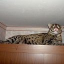 ���� ������ �������, ��������, 47 ��� - ��������� 25 ������� 2014 � ������ ���� ����������