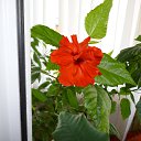 ���� �. �., ������������� - ��������� 11 ������� 2014 � ������ ���� ����������