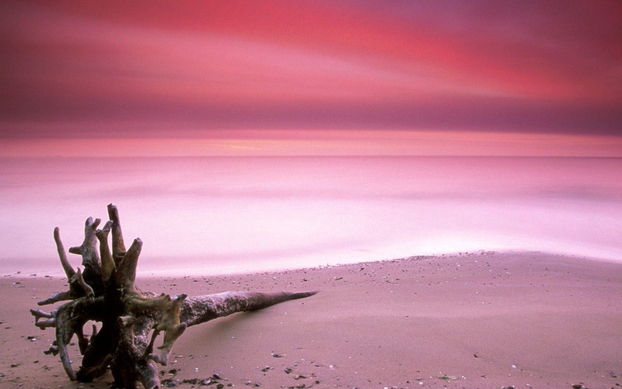 10 -  .1.   - Pink Sands Beach ( )   ...