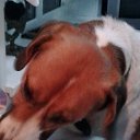 ��� ��� ! �� ������� ���� ����������