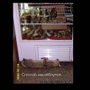 ���� �����_��������� ����, �����, 57 ��� - ��������� 7 �������� 2014 � ������ ������ ��������