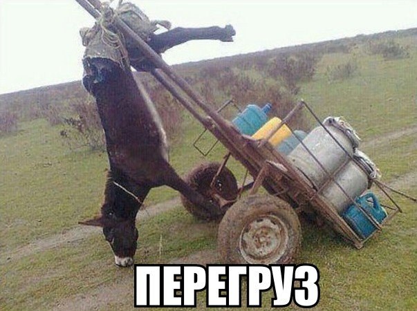 ������� ����� ����� :-) - 29 ������� 2014 � 10:40