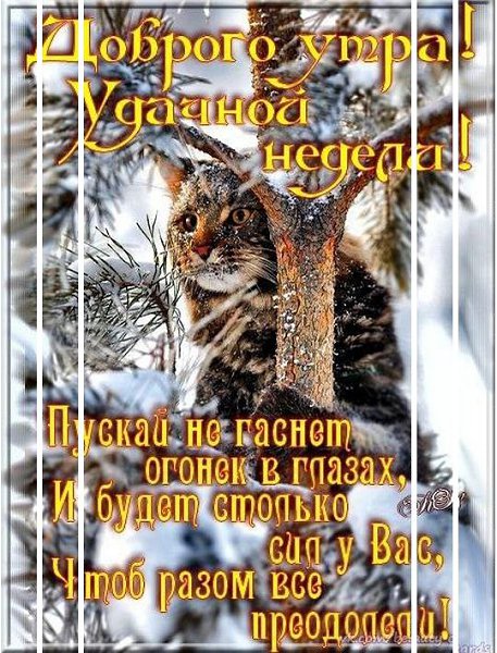 Желаем Вам хорошего дня и отличного настроения! Пусть у Вас всё намеченное сбудется! Желаем Вам ...