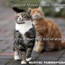 ���� �������, ����� - ��������� 12 ������� 2014 � ������ ���� ����������