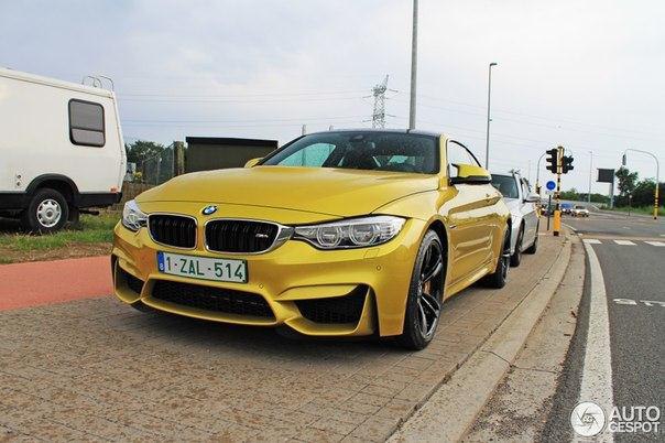 BMW M4 Coup (F82).   R6 (2979 )  431 ..  5500-7300 /  ...