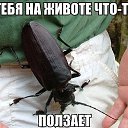 ���� �����, ������ - ��������� 13 ������� 2014 � ������ ������ ��������