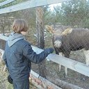 ���� �����, ������ ��������, 44 ���� - ��������� 8 ������ 2014 � ������ ���� ����������