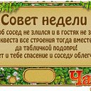 ���� ������ �-180��, ���������, 44 ���� - ��������� 20 ������ 2014 � ������ ��������