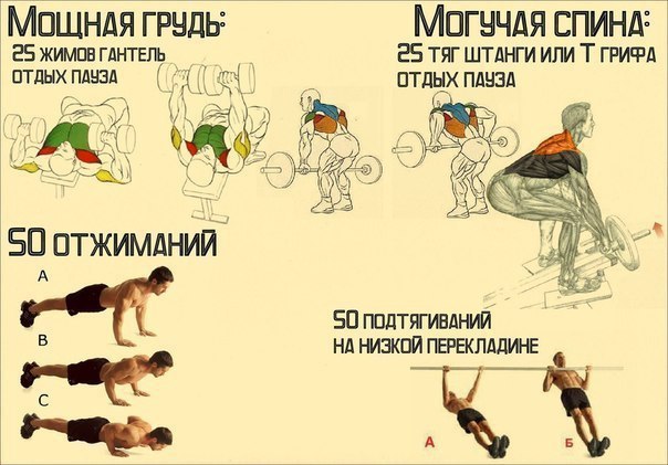 МОЩНАЯ ГРУДЬ И МОГУЧАЯ СПИНА.ПРИМЕНИ НЕОБЫЧНЫЙ ПРИЕМ, ЧТОБЫ ПРОКАЧАТЬ ГРУДНЫЕ И ...
