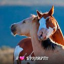 ���� ����, ��������, 48 ��� - ��������� 8 �������� 2014