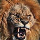 ���� �����, ��������� - ��������� 26 ������� 2014 � ������ ������ ��������