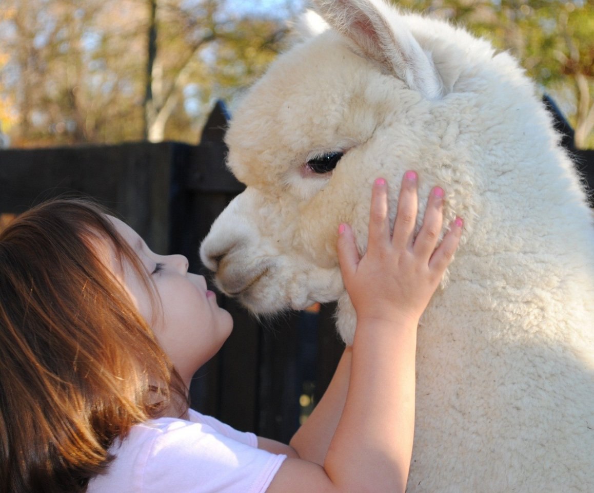  .#animal@travel.blog - 4