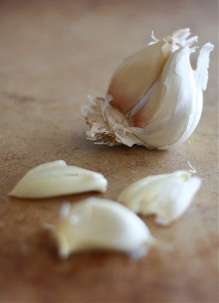       .:900  - 1  1,25  ... - 2