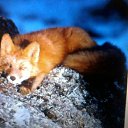 ���� ������, ������, 46 ��� - ��������� 29 ������� 2014 � ������ ���������