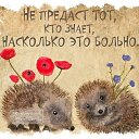 ���� ����, �����, 50 ��� - ��������� 23 �������� 2014 � ������ ���� ����������