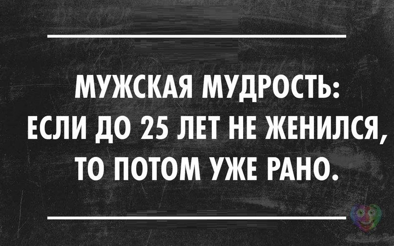 Я уже потом. Мужская мудрость. Мудрый юмор. Мужская мудрость приколы. Мужская мудрость картинки.