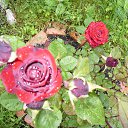 ���� �������, �����-���������, 67 ��� - ��������� 21 ������� 2014 � ������ ������� ������� ���� �����...�