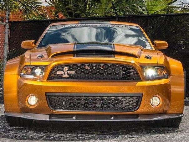 Shelby GT500 Super Snake - 2