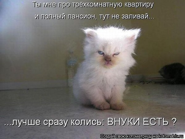 ����� - 4 ������ 2014 � 12:00