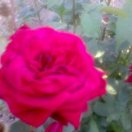 ���� ���������, ���������, 71 ��� - ��������� 9 �������� 2014