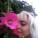 ���� ������-������, ������ �������� - ��������� 26 �������� 2014