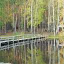 ���� ������, ������������, 43 ���� - ��������� 12 �������� 2014 � ������ ���� ����������