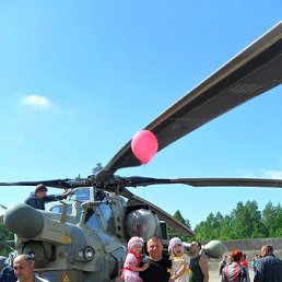 ���� �����, �����, 55 ��� - ��������� 1 �������� 2014