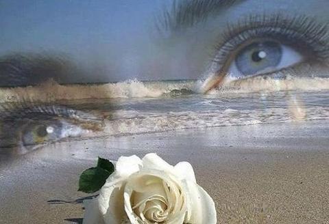   ,   .  ,         ...